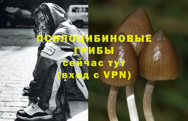 каннабис Абдулино