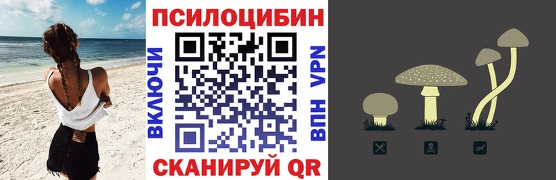 Псилоцибиновые грибы GOLDEN TEACHER  где найти наркотики  Сокол 