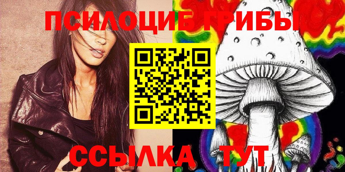 Псилоцибиновые грибы мицелий  Вход с VPN  Сокол 